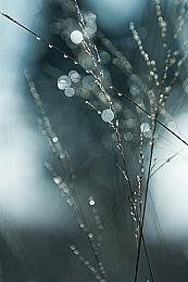 E3 2021：潜行者风格MMORPG《先锋》实机预告